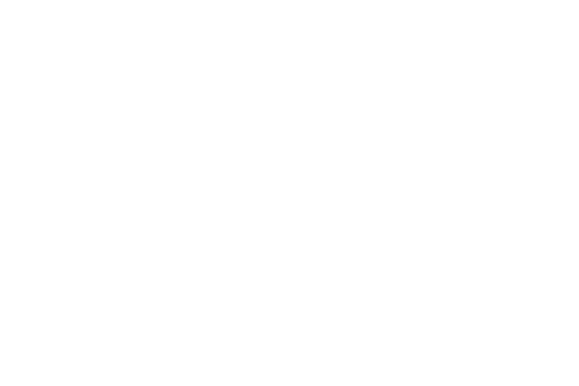 The Panda Paw logo